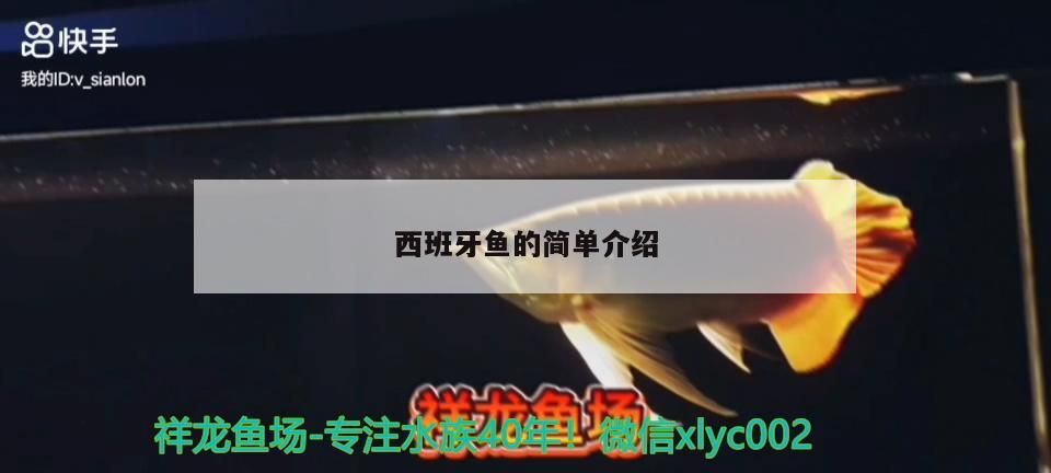 魚缸用增氧泵價格是多少:魚缸增氧機-xtrac增氧機-xtrac增氧機 西班牙魚的簡單介紹 黃金貓魚百科 西班牙魚的簡單介紹 西班牙魚的簡單介紹 黃金貓魚百科