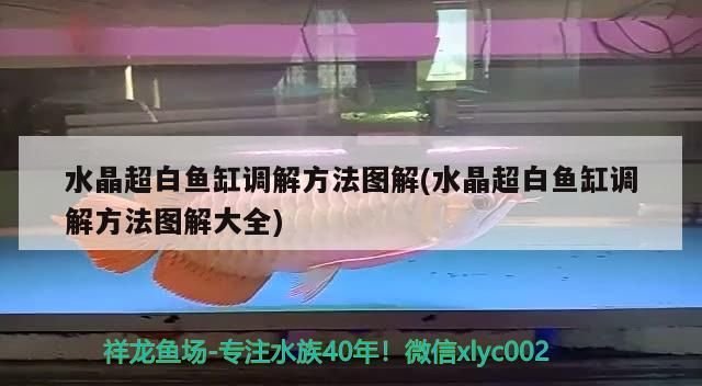龍魚干蝦有營養(yǎng)嗎 水晶超白魚缸調(diào)解方法圖解(水晶超白魚缸調(diào)解方法圖解大全) 九鼎魚缸 水晶超白魚缸調(diào)解方法圖解(水晶超白魚缸調(diào)解方法圖解大全) 水晶超白魚缸調(diào)解方法圖解(水晶超白魚缸調(diào)解方法圖解大全) 九鼎魚缸