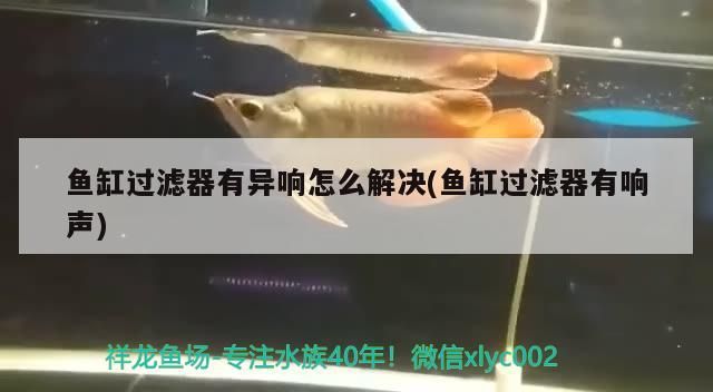 魚缸過濾器有異響怎么解決(魚缸過濾器有響聲)