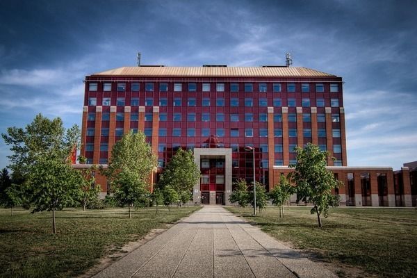 丹頂錦鯉抗病能力提升方法，丹頂錦鯉日常護理要點,錦鯉疾病預(yù)防常見誤區(qū)