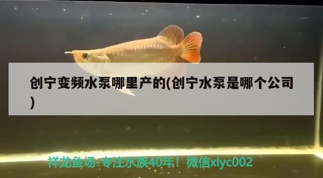 創寧變頻水泵哪里產的(創寧水泵是哪個公司)