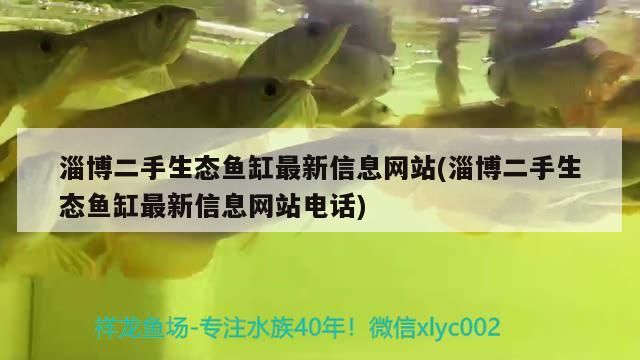 淄博二手生態魚缸最新信息網站(淄博二手生態魚缸最新信息網站電話)