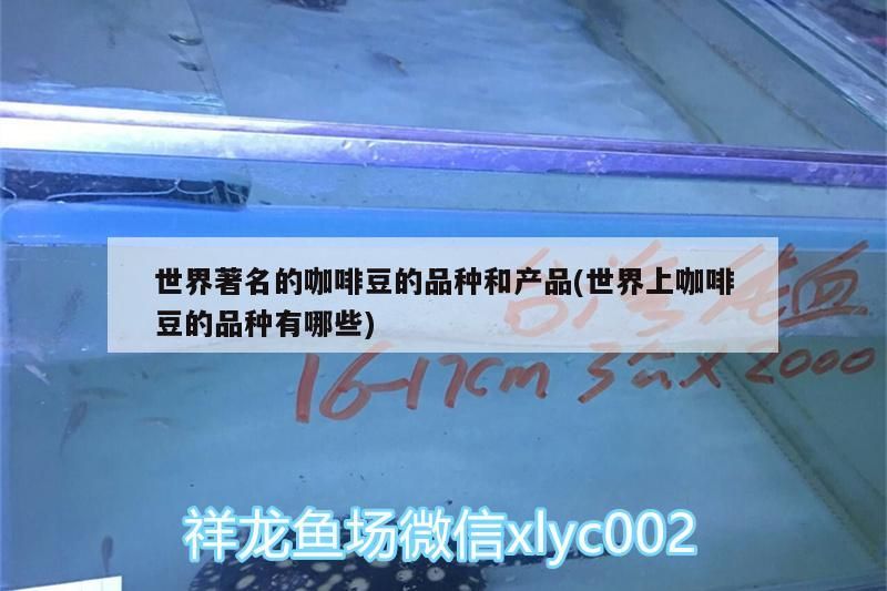世界著名的咖啡豆的品種和產品(世界上咖啡豆的品種有哪些)