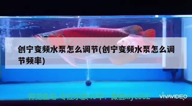 創寧變頻水泵怎么調節(創寧變頻水泵怎么調節頻率)
