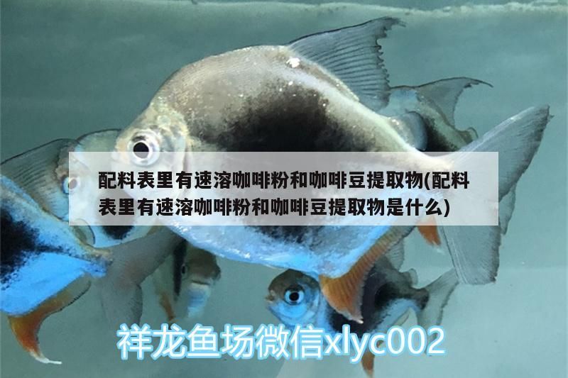 配料表里有速溶咖啡粉和咖啡豆提取物(配料表里有速溶咖啡粉和咖啡豆提取物是什么) 配料表里有速溶咖啡粉和咖啡豆提取物(配料表里有速溶咖啡粉和咖啡豆提取物是什么) 馬來西亞咖啡