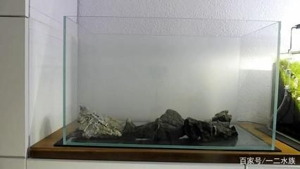 60厘米魚缸造景,告訴你莫斯樹制作方法：60厘米魚缸造景中莫斯樹的制作方法 60厘米魚缸造景,告訴你莫斯樹制作方法：60厘米魚缸造景中莫斯樹的制作方法 魚缸百科 第2張