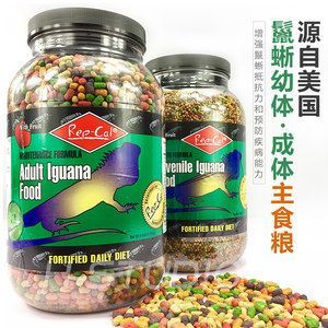 金龍魚活餌料的喂食頻率：金龍魚不同季節的喂食調整,金龍魚過冬的飼養技巧