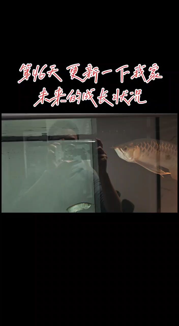 深夜一更