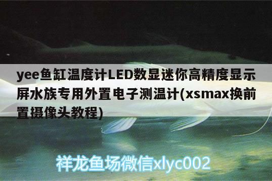 yee魚缸溫度計LED數(shù)顯迷你高精度顯示屏水族專用外置電子測溫計(xsmax換前置攝像頭教程) yee魚缸溫度計LED數(shù)顯迷你高精度顯示屏水族專用外置電子測溫計(xsmax換前置攝像頭教程) yee