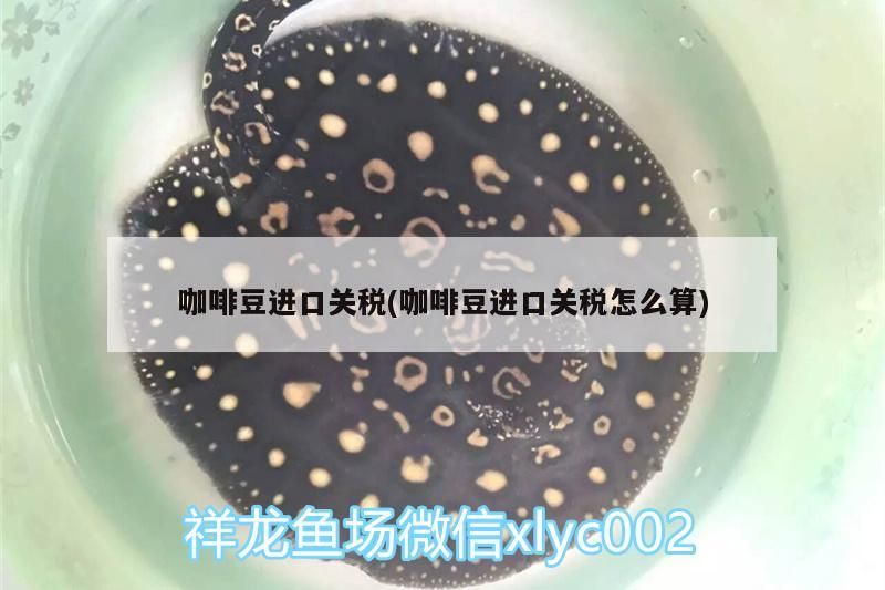 咖啡豆進(jìn)口關(guān)稅(咖啡豆進(jìn)口關(guān)稅怎么算) 咖啡豆進(jìn)口關(guān)稅(咖啡豆進(jìn)口關(guān)稅怎么算) 馬來西亞咖啡