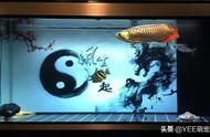 豬鼻龜通人性嗎：豬鼻龜有靈性嗎