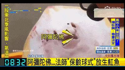 魟魚咬邊會不會死掉：魟魚咬邊會導致死亡嗎