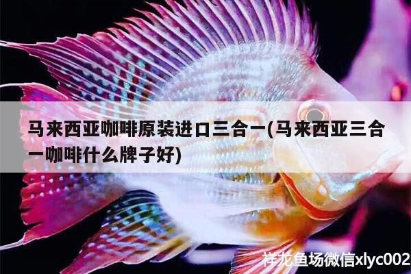魚缸用增氧泵價格是多少:魚缸增氧機-xtrac增氧機-xtrac增氧機 馬來西亞咖啡原裝進口三合一(馬來西亞三合一咖啡什么牌子好) 馬來西亞咖啡 馬來西亞咖啡原裝進口三合一(馬來西亞三合一咖啡什么牌子好) 馬來西亞咖啡原裝進口三合一(馬來西亞三合一咖啡什么牌子好) 馬來西亞咖啡