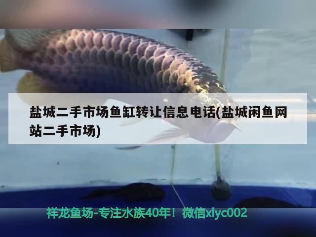鹽城二手市場魚缸轉(zhuǎn)讓信息電話(鹽城閑魚網(wǎng)站二手市場)