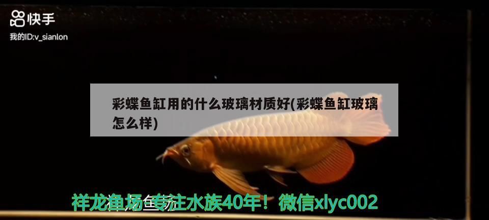 彩蝶魚缸用的什么玻璃材質好(彩蝶魚缸玻璃怎么樣)