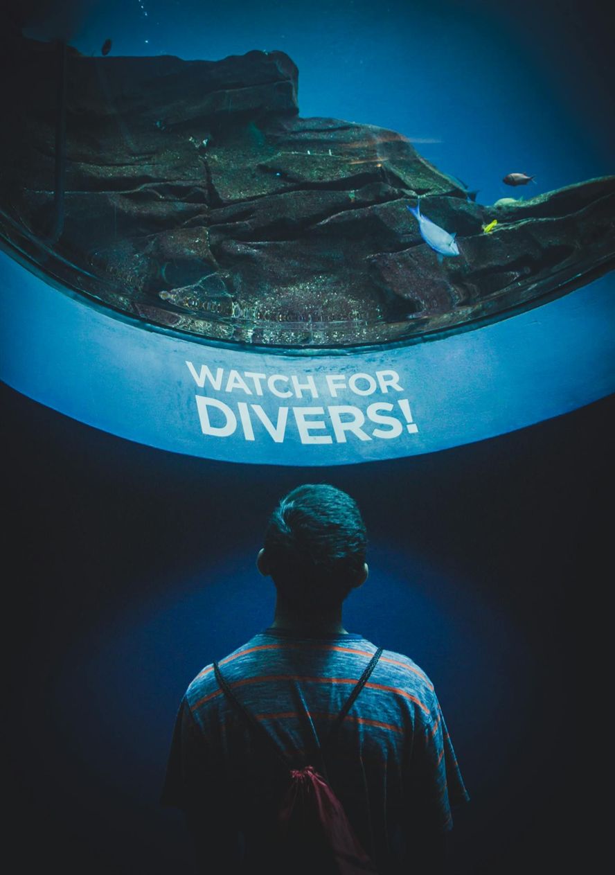 蕪湖賣魚缸在哪里買便宜點（蕪湖市賣魚缸的地方在哪）