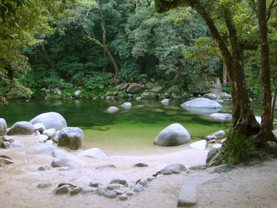 黃金貓魚幼魚營養需求分析（黃金貓魚幼魚的營養需求分析） 黃金貓魚幼魚營養需求分析（黃金貓魚幼魚的營養需求分析） 黃金貓魚百科 第2張