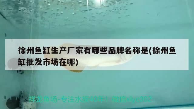 徐州魚缸生產廠家有哪些品牌名稱是(徐州魚缸批發市場在哪)