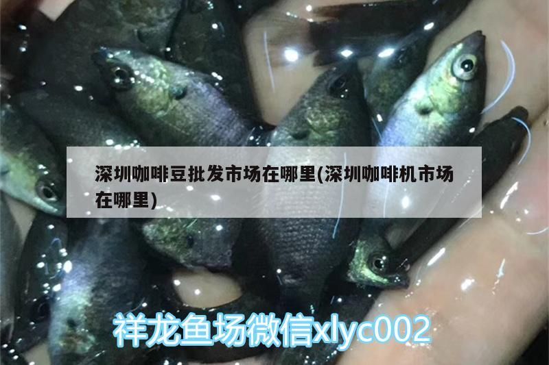 深圳咖啡豆批發市場在哪里(深圳咖啡機市場在哪里) 馬來西亞咖啡 第4張 深圳咖啡豆批發市場在哪里(深圳咖啡機市場在哪里) 深圳咖啡豆批發市場在哪里(深圳咖啡機市場在哪里) 馬來西亞咖啡 第4張
