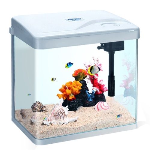 yee魚缸小魚缸客廳生態缸免換水金魚缸水族箱小型辦公室桌面迷你懶人魚缸（三合一水泵+紅藍白LED燈）240珍珠白高清熱彎標準版 yee魚缸小魚缸客廳生態缸免換水金魚缸水族箱小型辦公室桌面迷你懶人魚缸（三合一水泵+紅藍白LED燈）240珍珠白高清熱彎標準版 yee 第5張