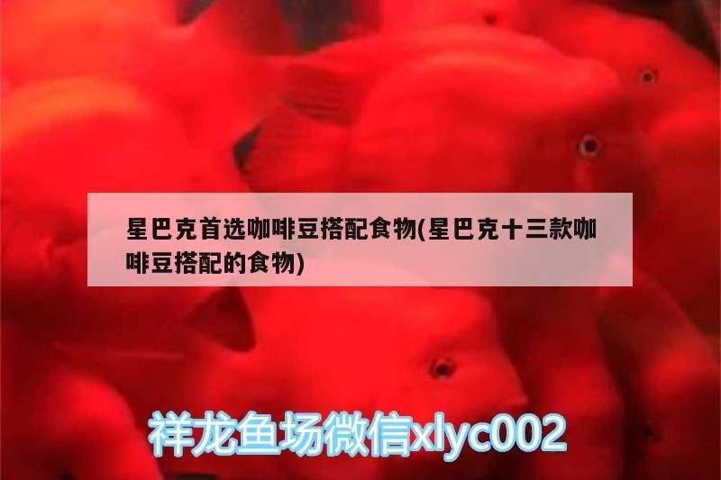 星巴克首選咖啡豆搭配食物(星巴克十三款咖啡豆搭配的食物)