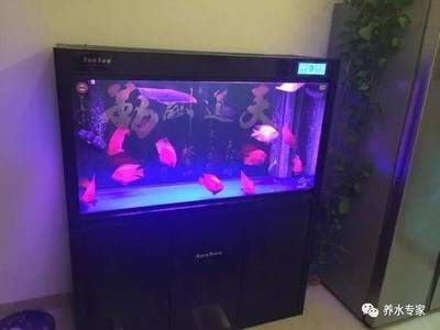 森森魚缸1058360922的魚馬桶怎么改裝 森森魚缸1058360922的魚馬桶怎么改裝 森森魚缸