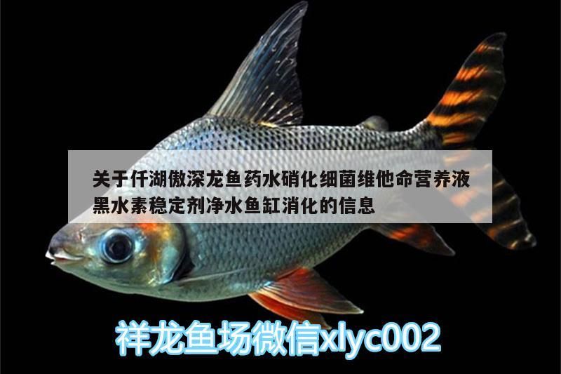關于仟湖傲深龍魚藥水硝化細菌維他命營養液黑水素穩定劑凈水魚缸消化的信息