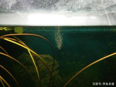老魚匠變頻加熱器說明書（老魚匠變頻加熱棒設置方法） 老魚匠變頻加熱器說明書（老魚匠變頻加熱棒設置方法） 老魚匠