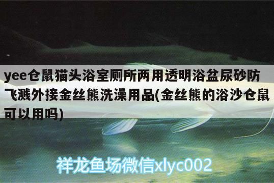 yee倉鼠貓頭浴室廁所兩用透明浴盆尿砂防飛濺外接金絲熊洗澡用品(金絲熊的浴沙倉鼠可以用嗎)
