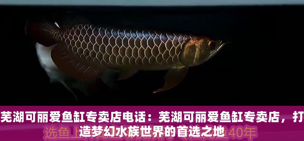 蕪湖可麗愛魚缸專賣店電話：蕪湖可麗愛魚缸專賣店，打造夢幻水族世界的首選之地 蕪湖可麗愛魚缸專賣店電話：蕪湖可麗愛魚缸專賣店，打造夢幻水族世界的首選之地 iwish愛唯希品牌魚缸 第1張
