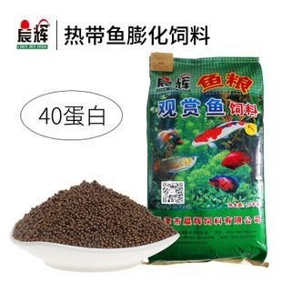 觀賞魚飼料廠家批發價格（尋找觀賞魚飼料的廠家批發價格時） 觀賞魚飼料廠家批發價格（尋找觀賞魚飼料的廠家批發價格時） 豬鼻龜百科 第3張