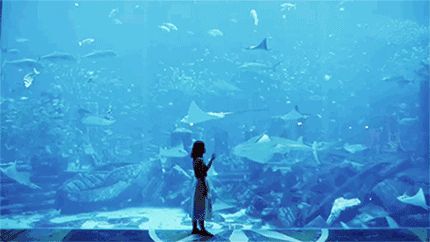 3d水族館動態壁紙TV版（3d水族館動態壁紙tv版）