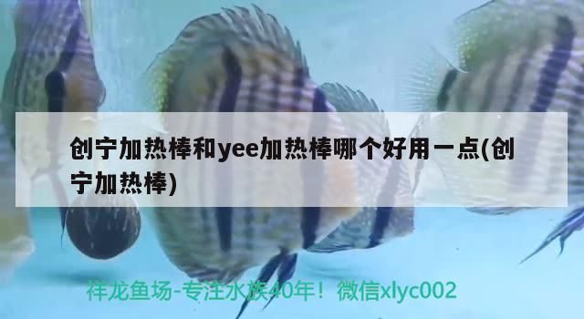魚缸 創寧加熱棒和yee加熱棒哪個好用一點(創寧加熱棒) yee 創寧加熱棒和yee加熱棒哪個好用一點(創寧加熱棒) 創寧加熱棒和yee加熱棒哪個好用一點(創寧加熱棒) yee