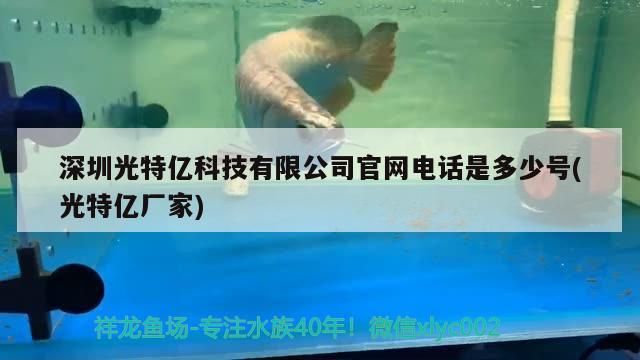 深圳光特億科技有限公司官網(wǎng)電話是多少號(hào)(光特億廠家) 深圳光特億科技有限公司官網(wǎng)電話是多少號(hào)(光特億廠家) 光特億