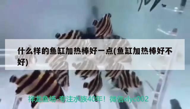 什么樣的魚缸加熱棒好一點(魚缸加熱棒好不好)