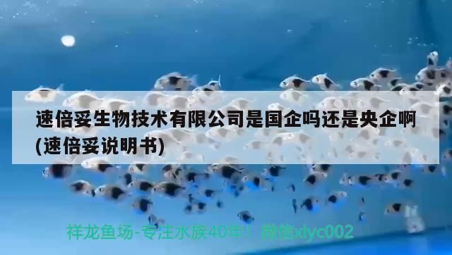 速倍妥生物技術有限公司是國企嗎還是央企啊(速倍妥說明書) 速倍妥生物技術有限公司是國企嗎還是央企啊(速倍妥說明書) 速倍妥