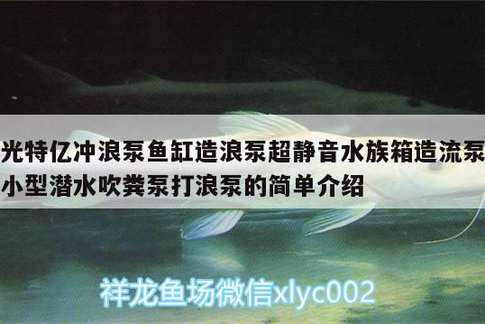 光特億沖浪泵魚缸造浪泵超靜音水族箱造流泵小型潛水吹糞泵打浪泵的簡單介紹 光特億沖浪泵魚缸造浪泵超靜音水族箱造流泵小型潛水吹糞泵打浪泵的簡單介紹 光特億