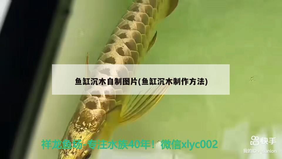 魚缸沉木自制圖片(魚缸沉木制作方法) 魚缸沉木自制圖片(魚缸沉木制作方法) 可麗愛魚缸