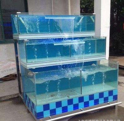 如何判斷龍魚鱗發(fā)黑是由什么引起的？，龍魚鱗片發(fā)黑怎么辦？ 如何判斷龍魚鱗發(fā)黑是由什么引起的？，龍魚鱗片發(fā)黑怎么辦？ 龍魚百科 第2張