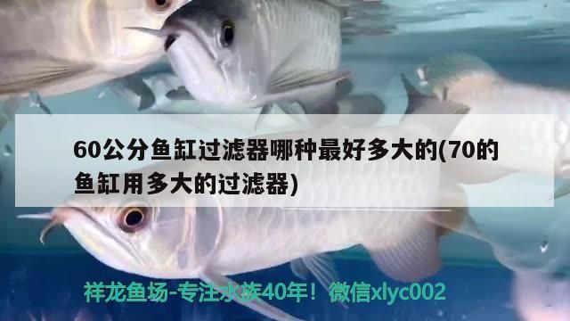 60公分魚缸過濾器哪種最好多大的(70的魚缸用多大的過濾器) 60公分魚缸過濾器哪種最好多大的(70的魚缸用多大的過濾器) iwish愛唯希品牌魚缸