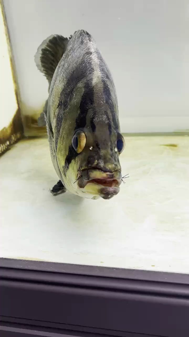 嘴巴骨折后續