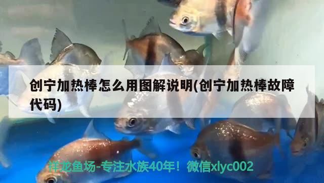 創(chuàng)寧加熱棒怎么用圖解說明(創(chuàng)寧加熱棒故障代碼)