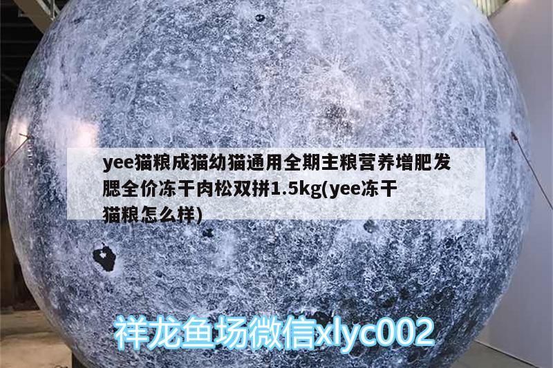 魚缸用增氧泵價格是多少:魚缸增氧機-xtrac增氧機-xtrac增氧機 yee貓糧成貓幼貓通用全期主糧營養增肥發腮全價凍干肉松雙拼1.5kg(yee凍干貓糧怎么樣) yee yee貓糧成貓幼貓通用全期主糧營養增肥發腮全價凍干肉松雙拼1.5kg(yee凍干貓糧怎么樣) yee貓糧成貓幼貓通用全期主糧營養增肥發腮全價凍干肉松雙拼1.5kg(yee凍干貓糧怎么樣) yee