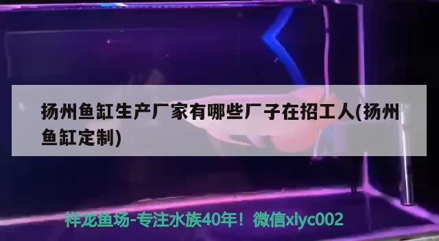 小型魚 揚州魚缸生產廠家有哪些廠子在招工人(揚州魚缸定制) 元寶鳳凰魚百科 揚州魚缸生產廠家有哪些廠子在招工人(揚州魚缸定制) 揚州魚缸生產廠家有哪些廠子在招工人(揚州魚缸定制) 元寶鳳凰魚百科