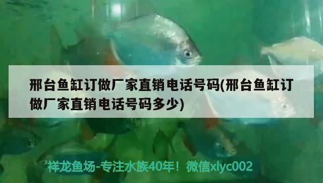 邢臺(tái)魚(yú)缸訂做廠家直銷(xiāo)電話(huà)號(hào)碼(邢臺(tái)魚(yú)缸訂做廠家直銷(xiāo)電話(huà)號(hào)碼多少)