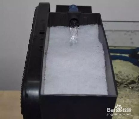 龍魚身上白色絮狀物是什么病(龍魚體表有白色棉絮狀) 龍魚身上白色絮狀物是什么病(龍魚體表有白色棉絮狀) 九鼎魚缸