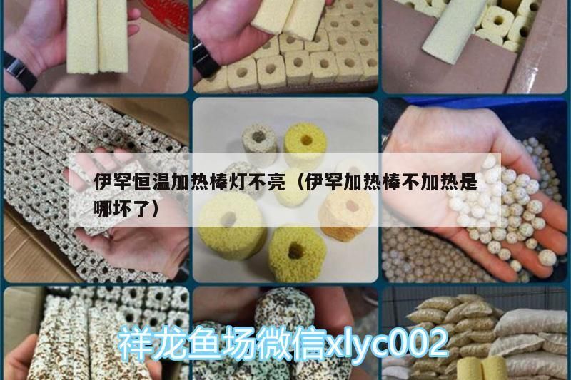 魚缸過濾器選購指南:自制魚缸過濾器魚缸上置過濾器對于養魚愛好者的必備知識 伊罕恒溫加熱棒燈不亮(伊罕加熱棒不加熱是哪壞了) 伊罕水族 伊罕恒溫加熱棒燈不亮(伊罕加熱棒不加熱是哪壞了) 伊罕恒溫加熱棒燈不亮(伊罕加熱棒不加熱是哪壞了) 伊罕水族