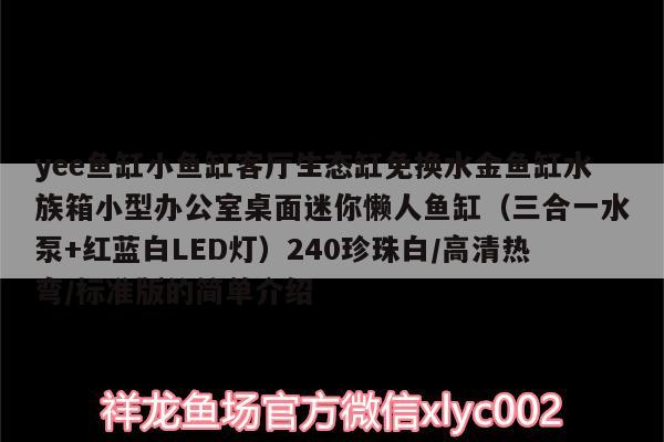 yee魚缸小魚缸客廳生態(tài)缸免換水金魚缸水族箱小型辦公室桌面迷你懶人魚缸（三合一水泵+紅藍白LED燈）240珍珠白/高清熱彎/標準版的簡單介紹
