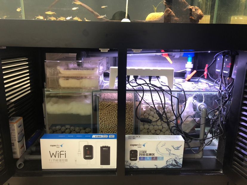 張掖觀賞魚市場申請光特億智能wifi水泵6000流量