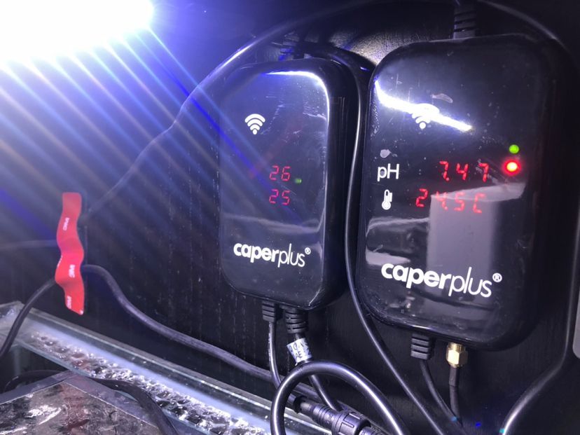 張掖觀賞魚市場申請光特億智能wifi水泵6000流量